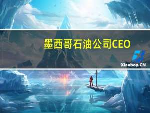 墨西哥石油公司（Pemex）CEO：截至9月公司负债额已降至1063亿美元