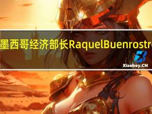 墨西哥经济部长Raquel Buenrostro表示：马斯克旗下特斯拉尚未就Monterrey周边一家工厂的投资计划正式登记