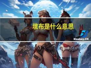 墩布是什么意思