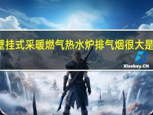 壁挂式采暖燃气热水炉排气烟很大是怎么回
