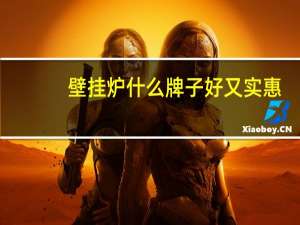 壁挂炉什么牌子好又实惠（壁挂炉什么牌子好）