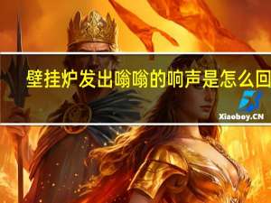 壁挂炉发出嗡嗡的响声是怎么回事