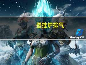 壁挂炉排气