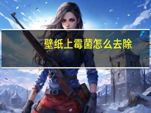 壁纸上霉菌怎么去除