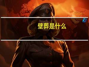 壁葬是什么（壁葬是什么意思）