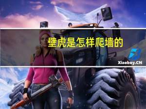 壁虎是怎样爬墙的