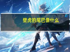 壁虎的尾巴像什么