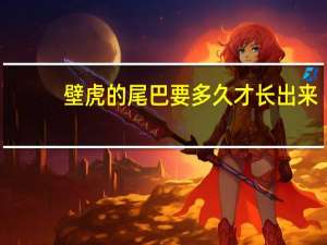 壁虎的尾巴要多久才长出来