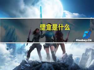 壁龛是什么（壁龛）