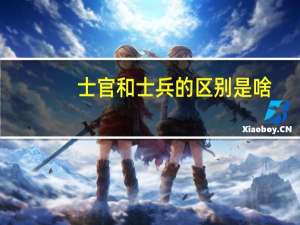 士官和士兵的区别是啥