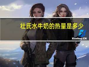 壮氏水牛奶的热量是多少