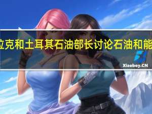 声明显示伊拉克和土耳其石油部长讨论石油和能源领域的合作关系
