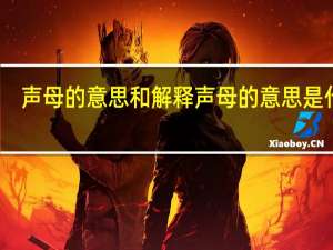 声母的意思和解释 声母的意思是什么