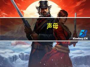 声母（关于声母的介绍）