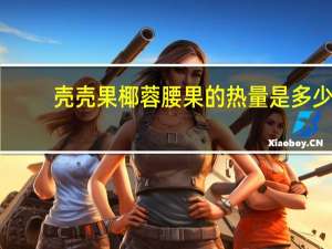 壳壳果 椰蓉腰果的热量是多少