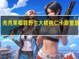 壳壳果 椰蓉野生大核桃仁卡路里是多少