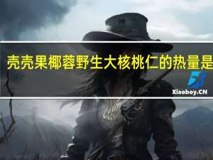 壳壳果 椰蓉野生大核桃仁的热量是多少