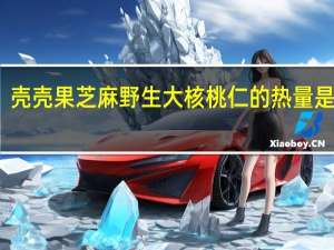 壳壳果 芝麻野生大核桃仁的热量是多少