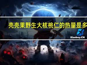 壳壳果 野生大核桃仁的热量是多少