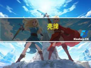 壳牌(SHEL.N)：液化天然气市场仍脆弱且过于自满