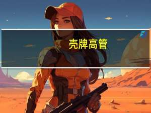 壳牌高管：全球对澳大利亚LNG行业可能发生罢工“反应过度”