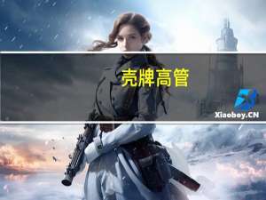 壳牌高管：最近与摩洛哥签署了首份长期液化天然气合同