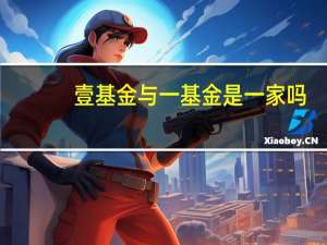 壹基金与一基金是一家吗