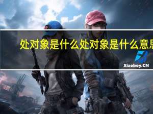 处对象是什么 处对象是什么意思