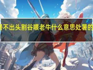 处暑不出头割谷喂老牛什么意思 处暑的农事谚语