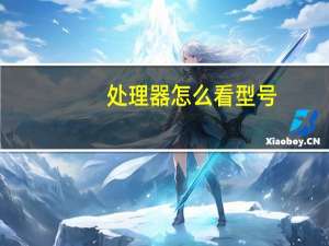 处理器怎么看型号（处理器怎么看）