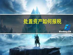 处置资产如何报税