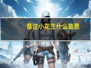备注小花生什么意思