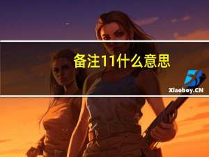 备注11什么意思