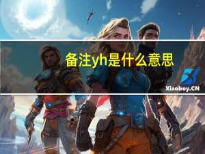 备注yh是什么意思