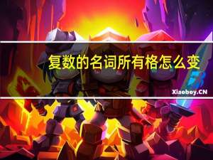 复数的名词所有格怎么变