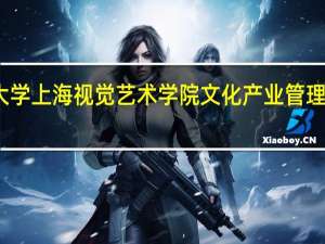 复旦大学上海视觉艺术学院文化产业管理专业怎么样