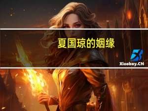 夏国琼的姻缘（夏国琼）