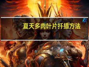 夏天多肉叶片扦插方法
