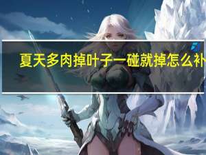 夏天多肉掉叶子一碰就掉怎么补救