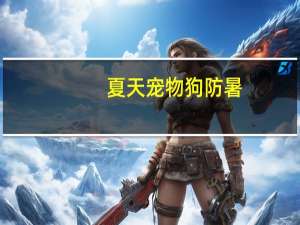 夏天宠物狗防暑