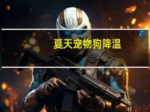 夏天宠物狗降温