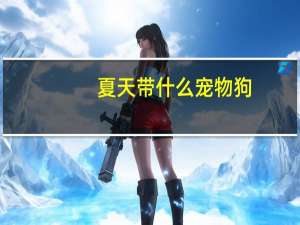 夏天带什么宠物狗