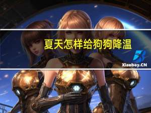 夏天怎样给狗狗降温