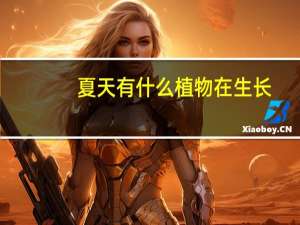 夏天有什么植物在生长