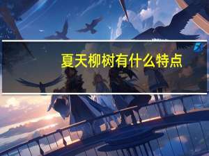 夏天柳树有什么特点