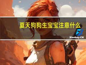 夏天狗狗生宝宝注意什么