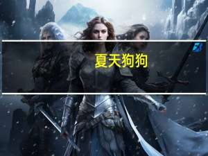 夏天狗狗