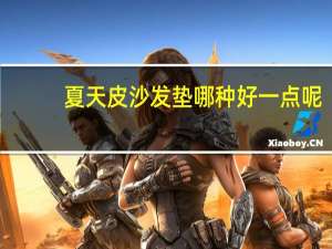 夏天皮沙发垫哪种好一点呢