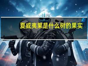 夏威夷果是什么树的果实