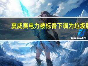 夏威夷电力被标普下调为垃圾股